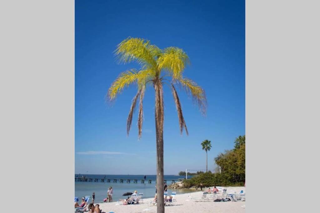 Riverview, Studio 507, Beach Steps Away!+Pool+Wifi Ruskin Exterior photo